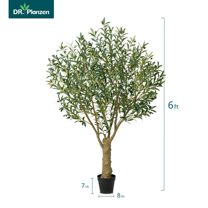 DR.Planzen Artificial Olive Tree, 6FT Tall Silk Faux Olive Tree with Massive Trunk Base, UV Resistant Black Plastic Potted Plant for Home Office Decor