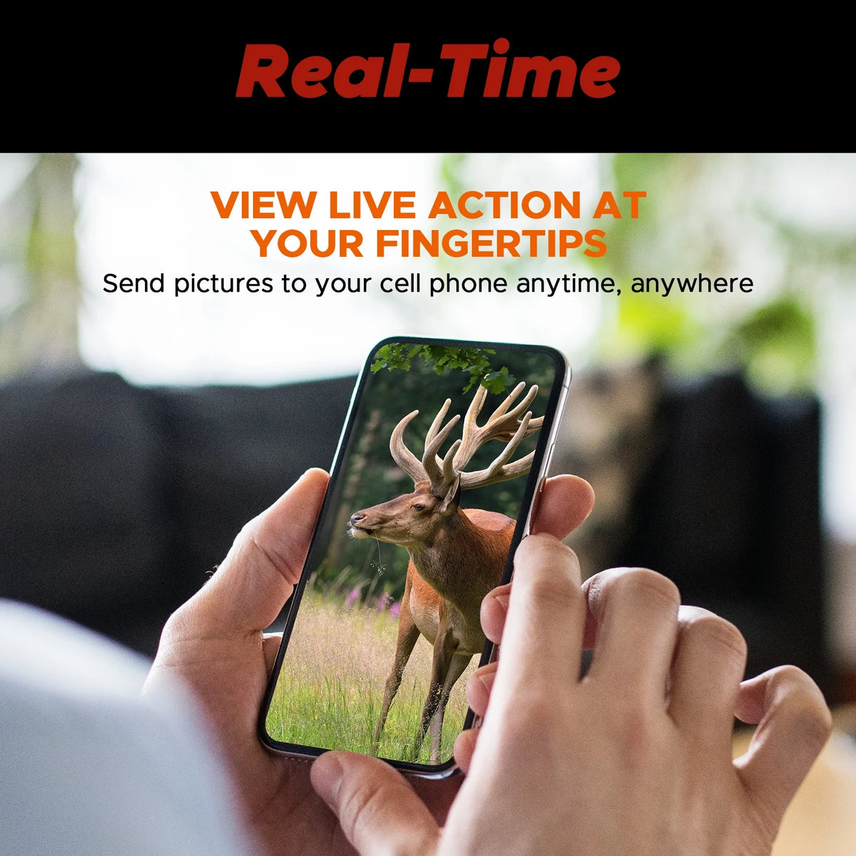 CAMPARK 2 Pack TC20 4G Cellular Trail Camera, 1080P 24MP Hunting Game Camera with Live View and Motion Alerts, Low Glow Night Vision and IP66 Waterproof for Wildlife Monitoring