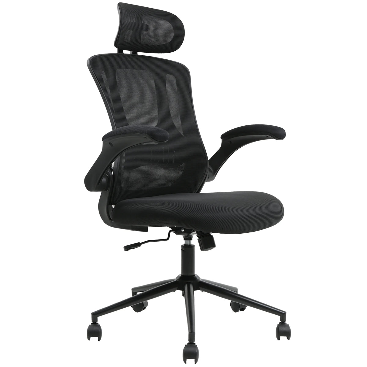 TrumanPick Ergonomic Office Chair, High Back Adjustable Computer Desk Chair with Lumbar Support, 300lb, Black