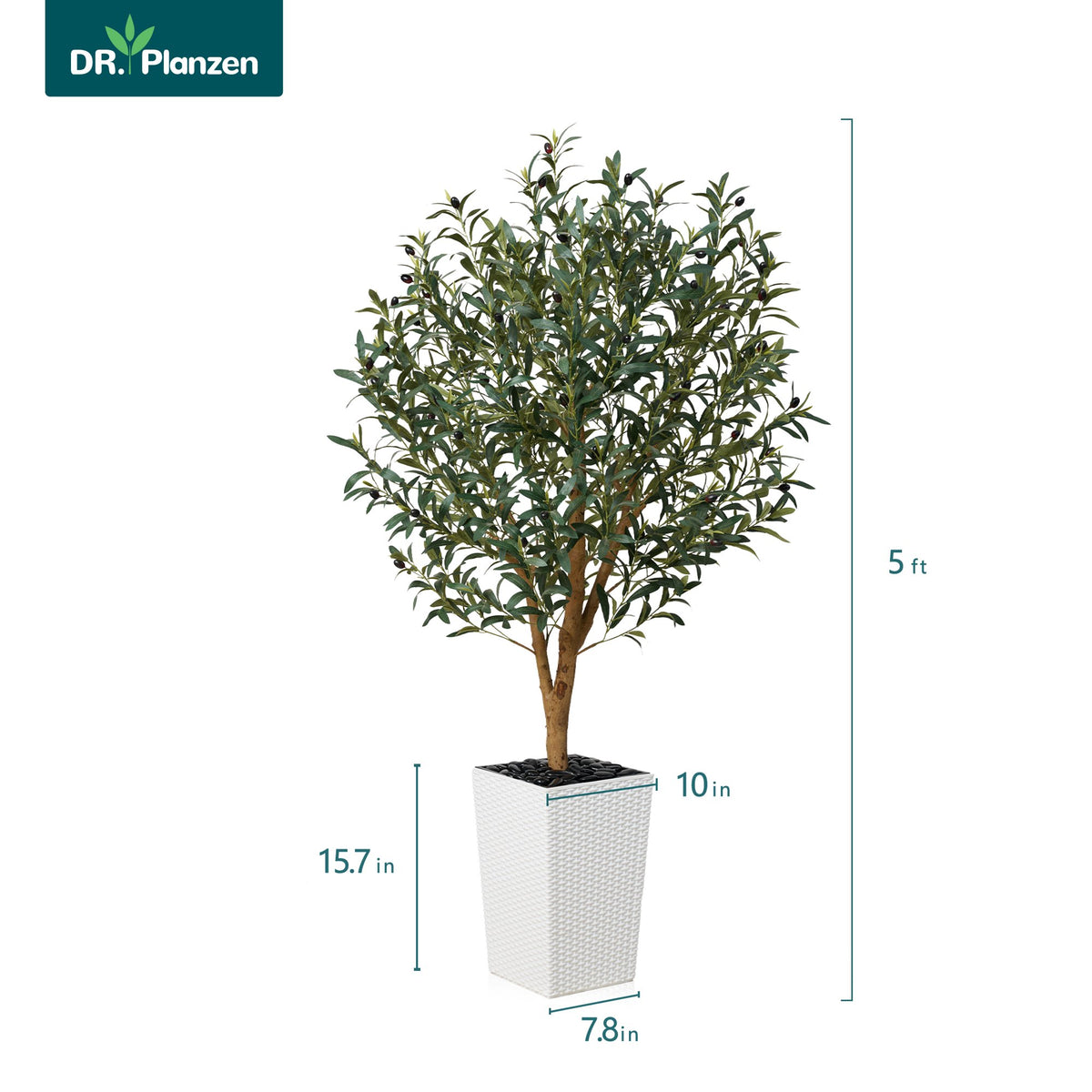 DR.Planzen UV Resistant 5ft Artificial Olive Tree with Natural Wood Branches and Realistic Silk Leaves,Faux Olive Tree for Indoor and Outdoor Decor - White Large Planter with Pebbles