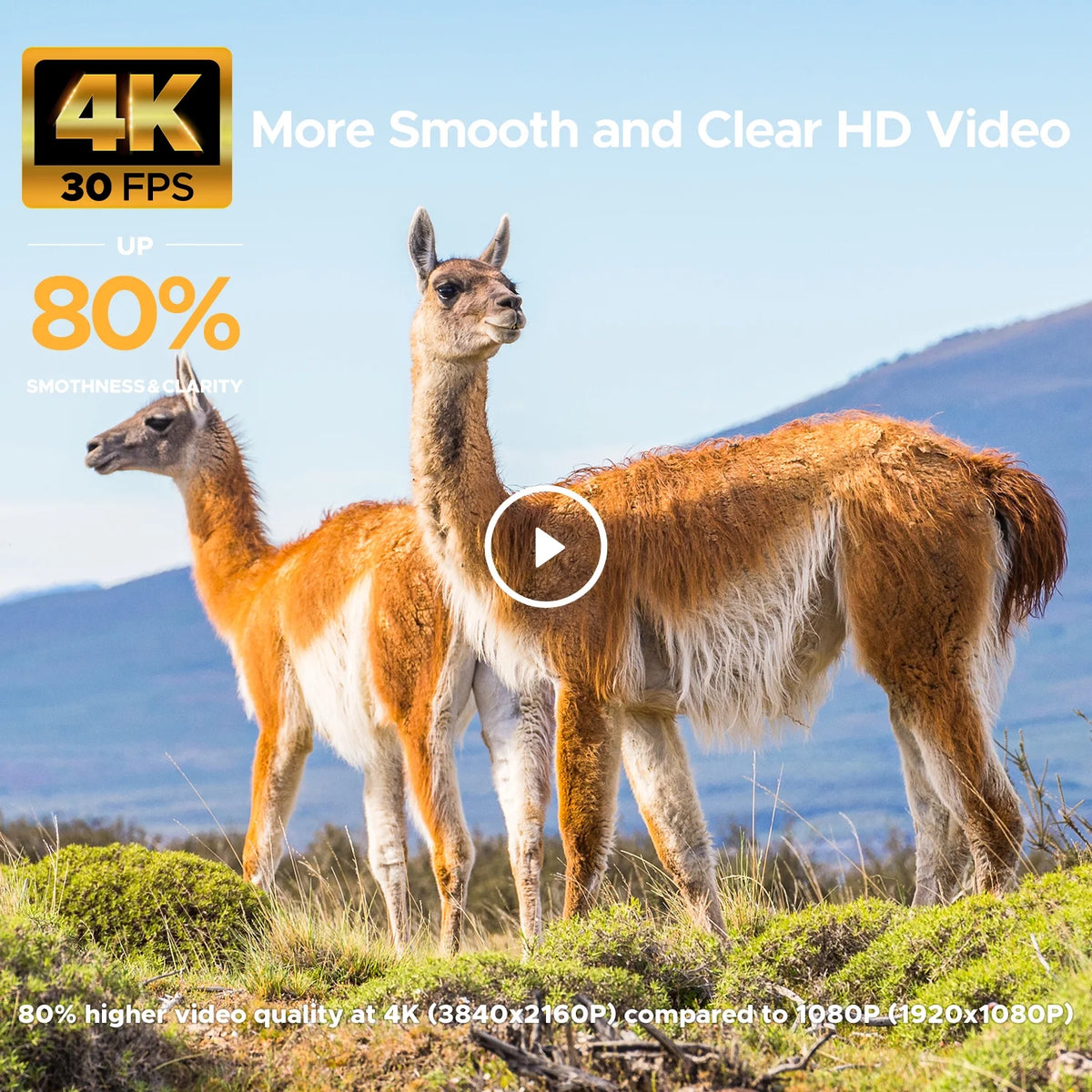 CAMPARK Solar Powered Trail Camera 48MP 4K Hunting Game Camera with Night Vision Motion Activated Waterproof IP66 Loop Recording 0.1s Trigger Time Deer Trail Cam Built-in 2000mAh Battery