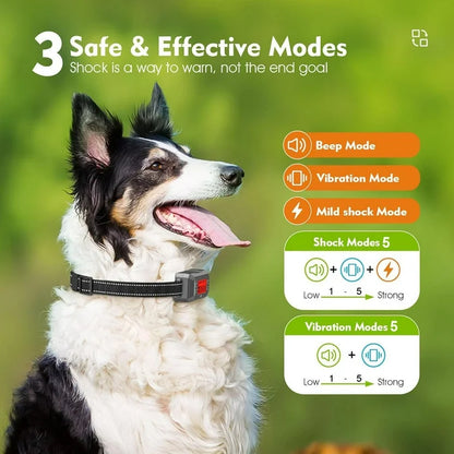 GPS Wireless Dog Fence System – CICPAP 33–999 Yards Rechargeable Electric Dog Boundary Collar, Smart Perimeter Containment System for Medium & Large Dogs, Waterproof for Outdoor Use