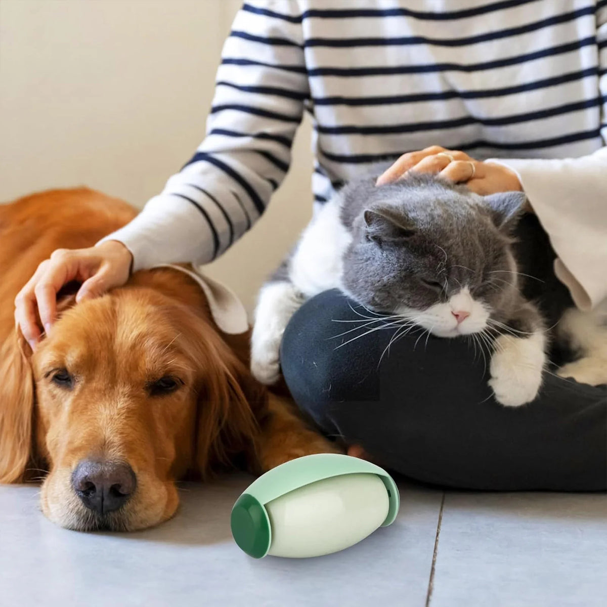 2 Pack Reusable Lint Roller Washable Mini Lint Remover for Cat Dog Pet Hair Rollers Travel Size Sticky Cleaner Hair Remover for Clothes