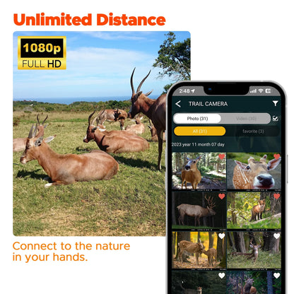 CAMPARK 2 Pack TC20 4G Cellular Trail Camera, 1080P 24MP Hunting Game Camera with Live View and Motion Alerts, Low Glow Night Vision and IP66 Waterproof for Wildlife Monitoring