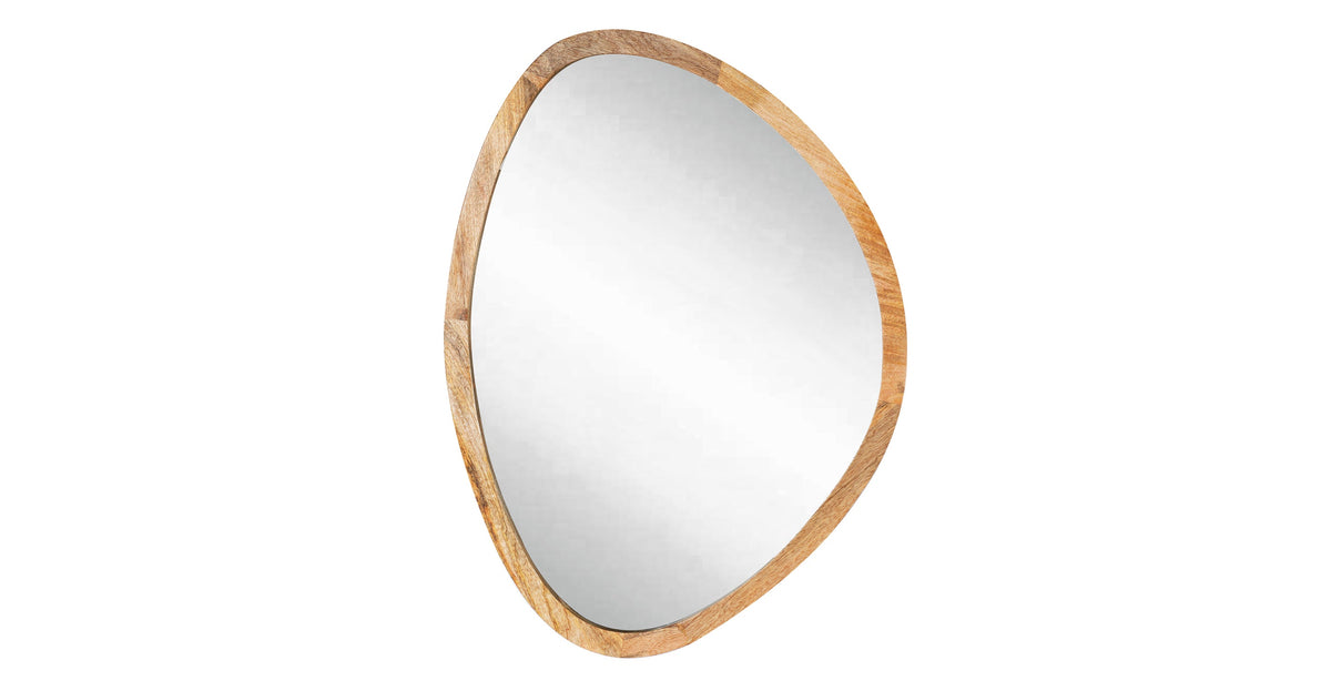 Safie Mirror