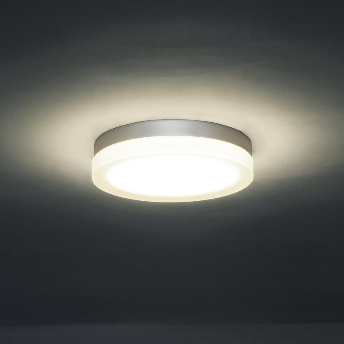 Circa Outdoor Wall / Ceiling Light