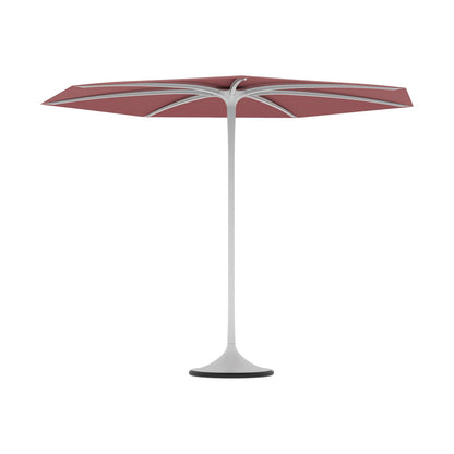 Palma Umbrella