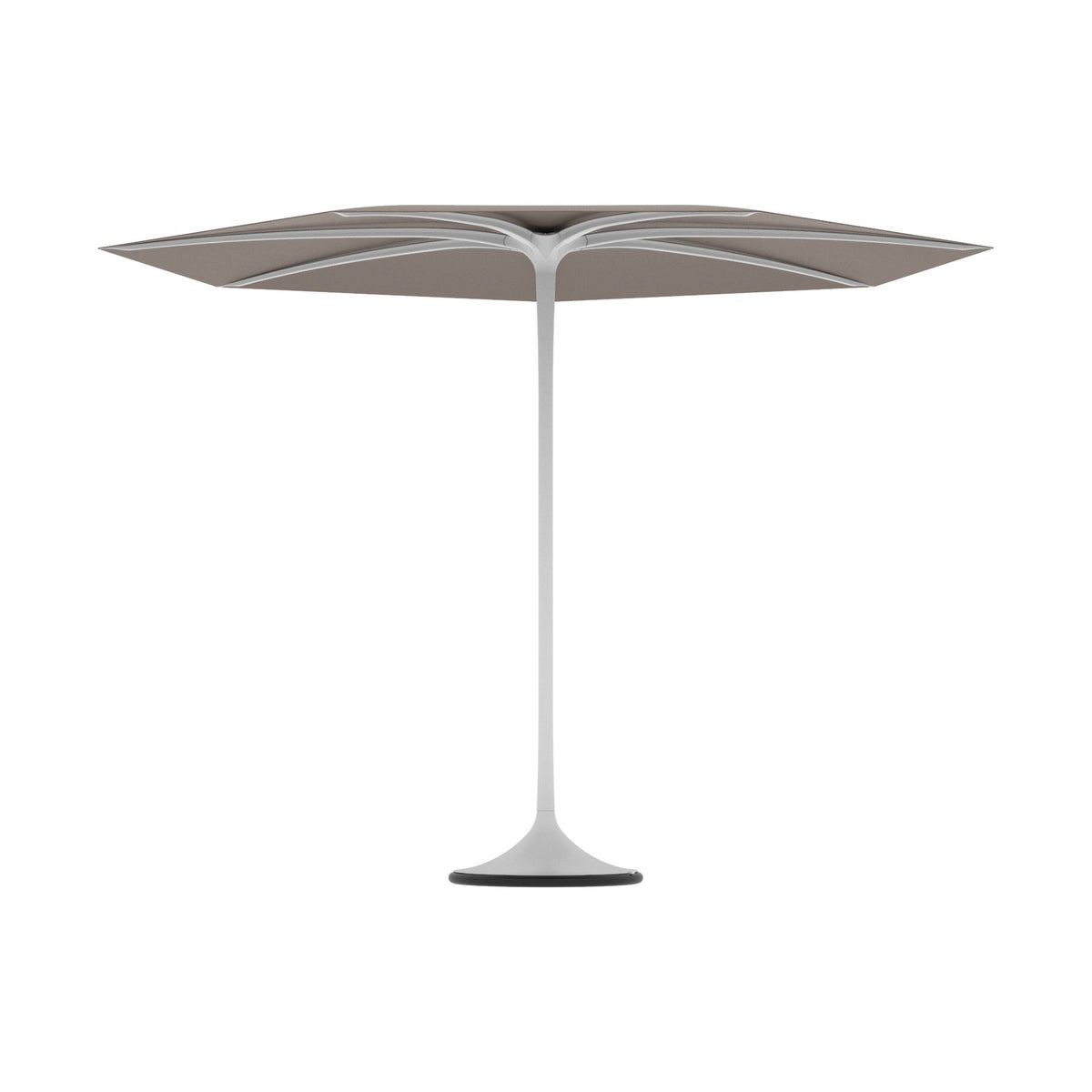 Palma Umbrella