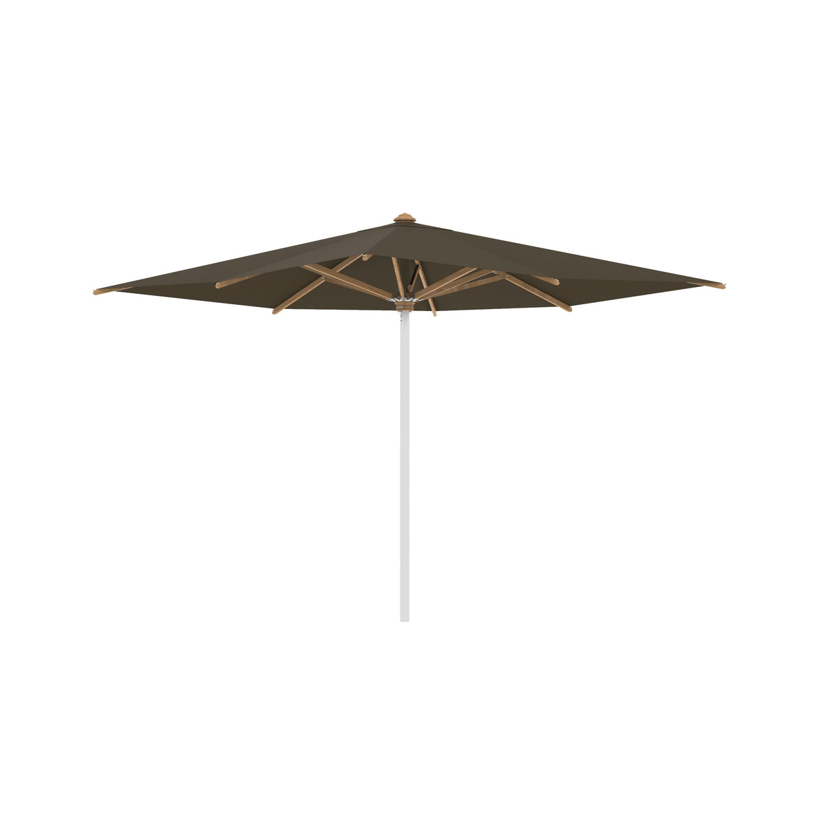 Shady Square Umbrella with Teak Ribs