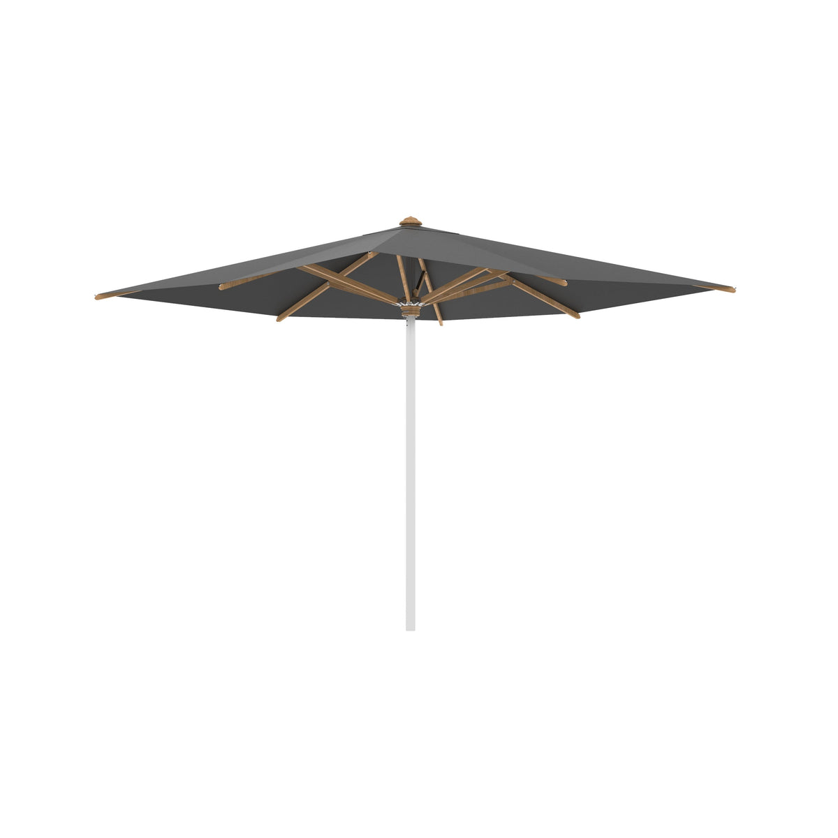 Shady Square Umbrella with Teak Ribs