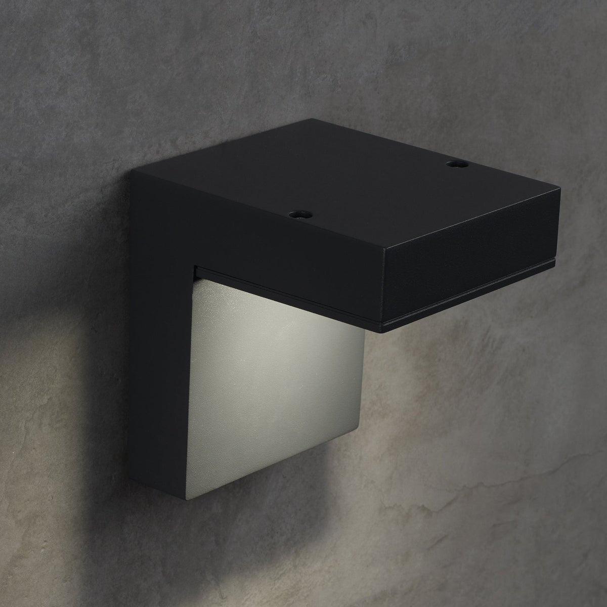 Taag 6 Outdoor Wall Light